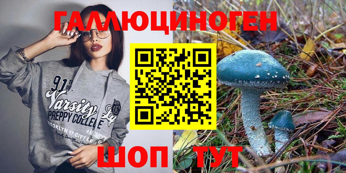 Галлюциногенные грибы Psilocybe Белорецк